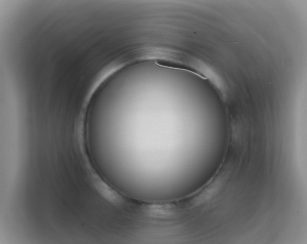X0000111661138200907241146