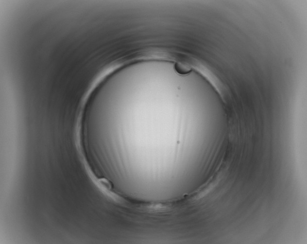 X0000111661139200907241146