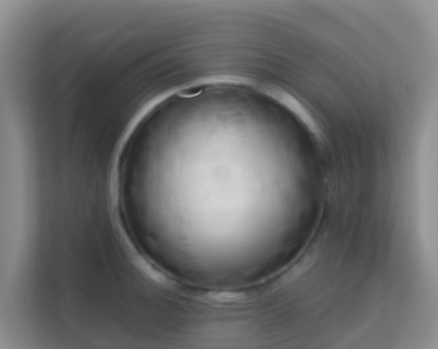 X0000111661140200907241146