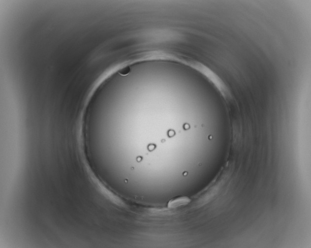 X0000111661142200907241146