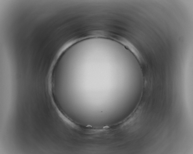 X0000111661143200907241146