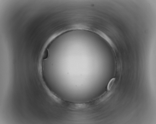 X0000111661144200907241146