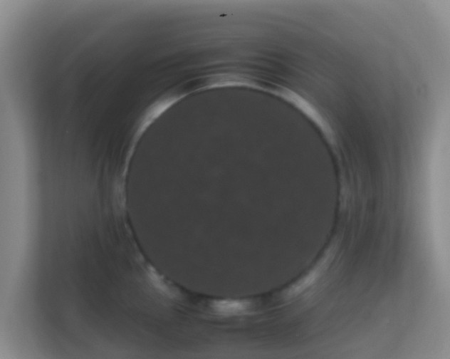 X0000111661145200907241146