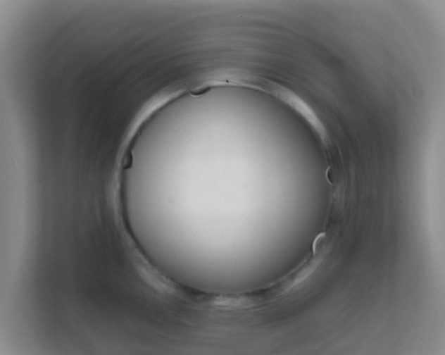 X0000111661146200907241146
