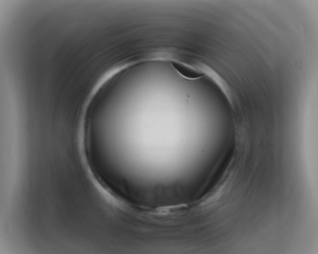 X0000111661147200907241146