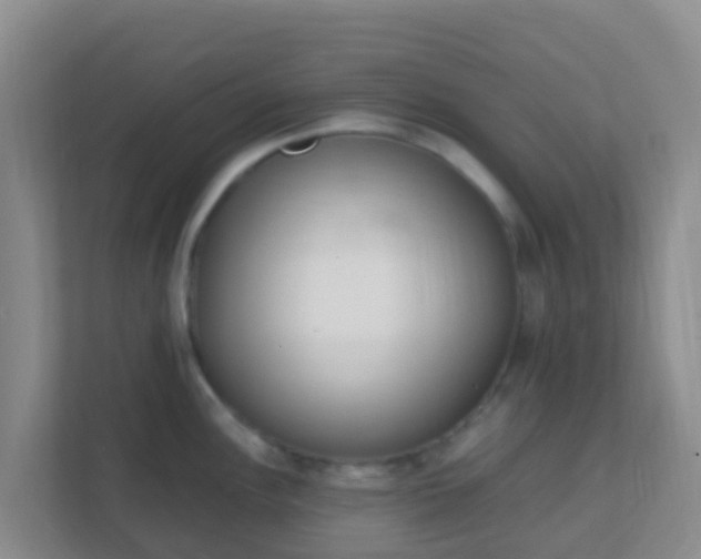 X0000111661148200907241146