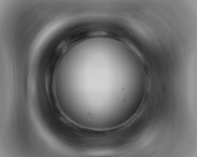 X0000111661151200907241146