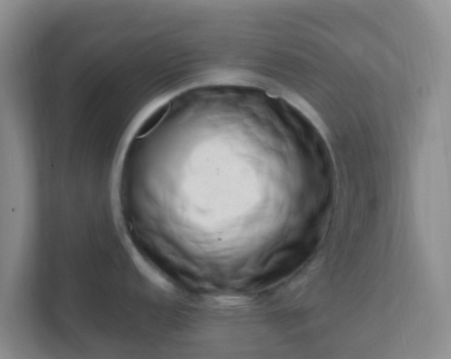X0000111661152200907241146