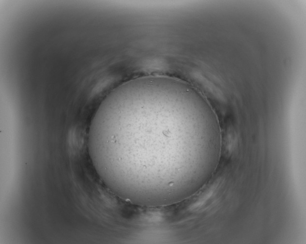 X0000111661157200907241146