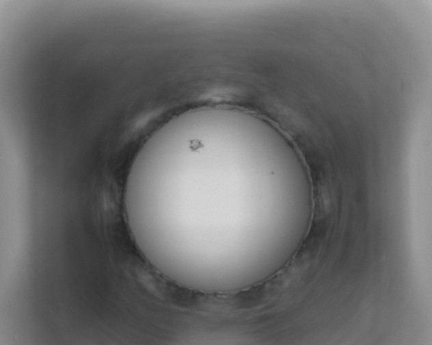 X0000111661158200907241146
