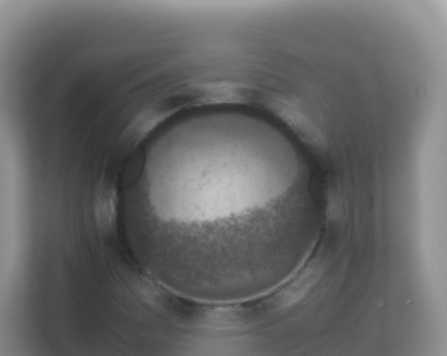 X0000111661161200907241146