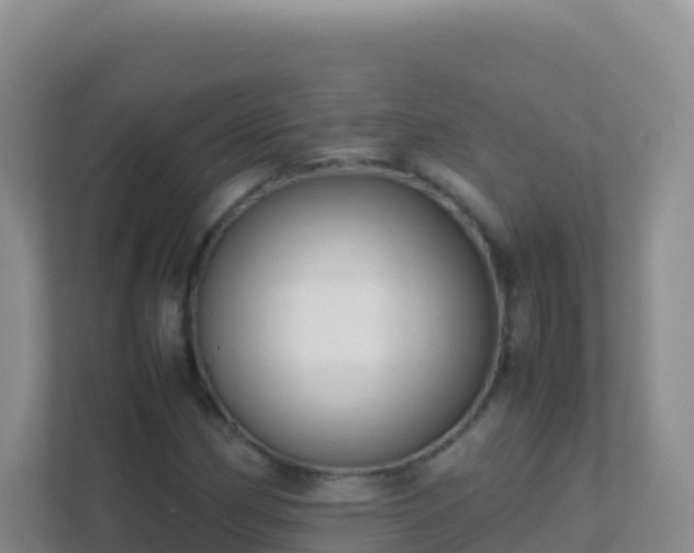 X0000111661162200907241146