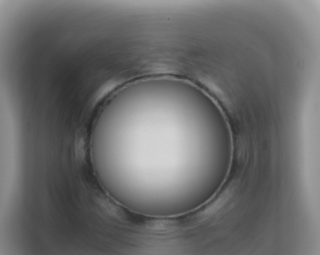 X0000111661163200907241146