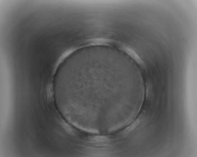 X0000111661164200907241146