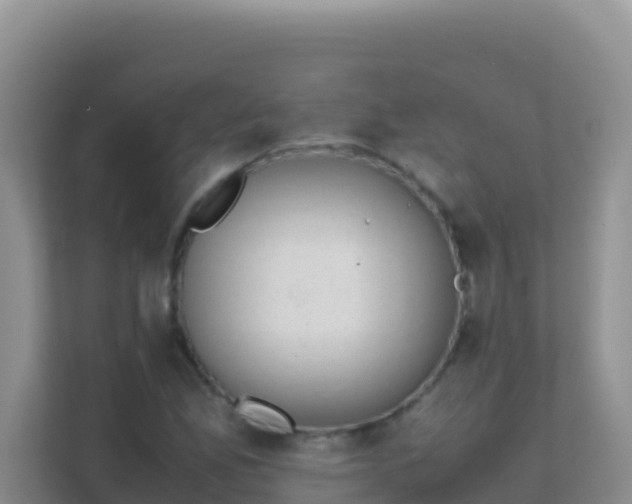X0000111661165200907241146