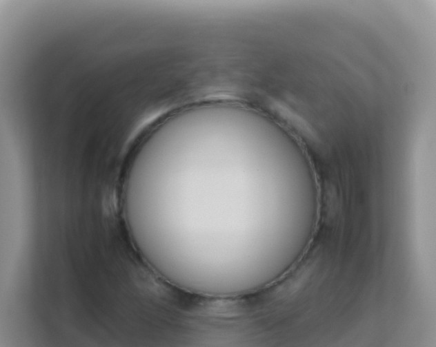X0000111661166200907241146