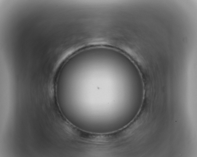 X0000111661167200907241146