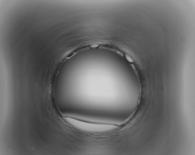 X0000111661169200907241145