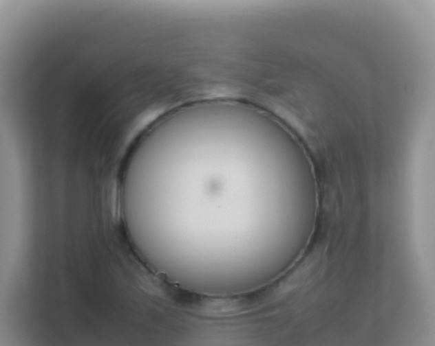 X0000111661171200907241145