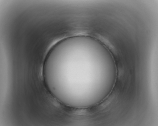 X0000111661174200907241145