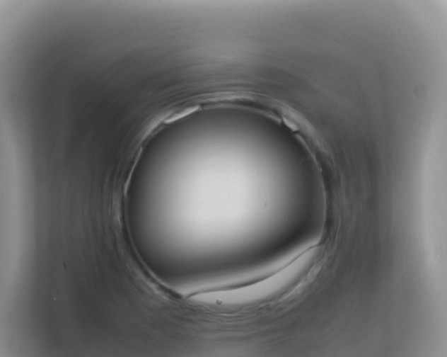 X0000111661177200907241145
