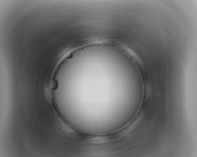 X0000111661178200907241145
