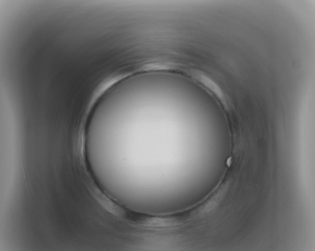 X0000111661179200907241145