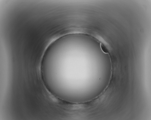 X0000111661181200907241145