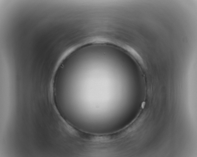 X0000111661183200907241145