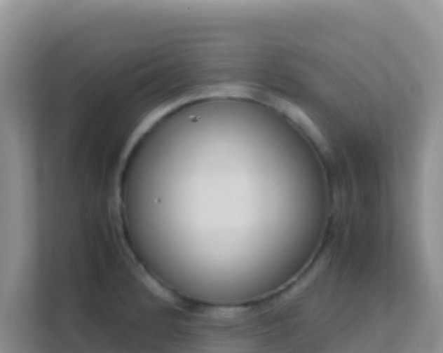 X0000111661184200907241145