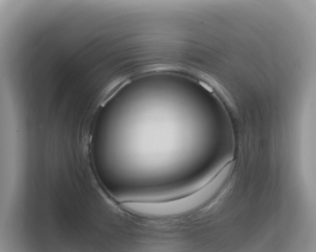X0000111661185200907241145