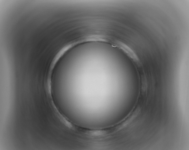 X0000111661188200907241145