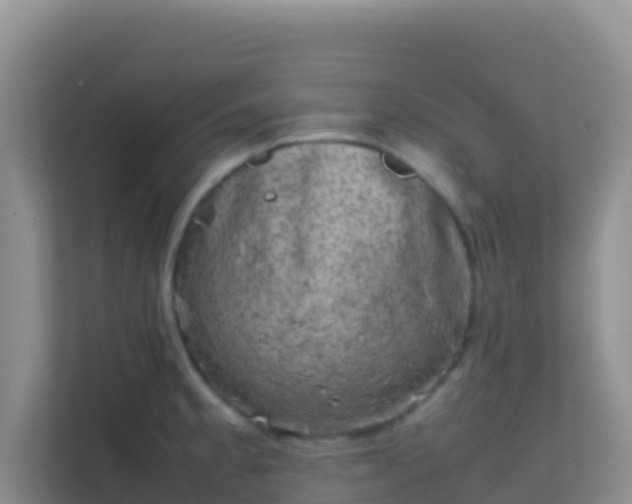 X0000111661189200907241145