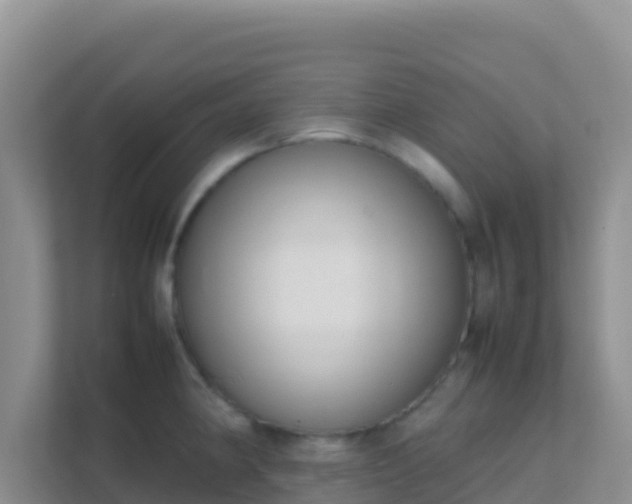 X0000111661190200907241145