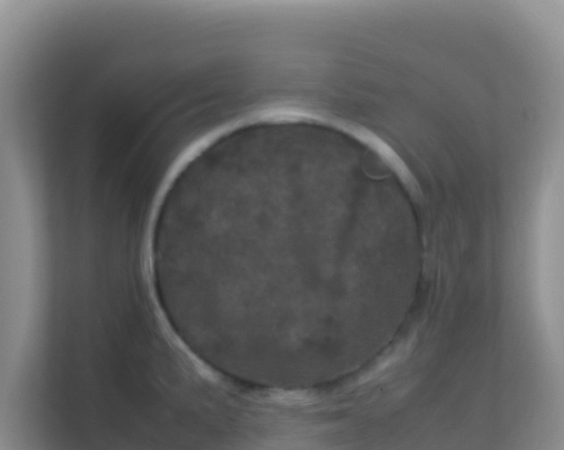 X0000111661191200907241145