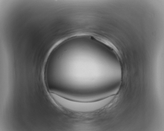 X0000111661197200907241145