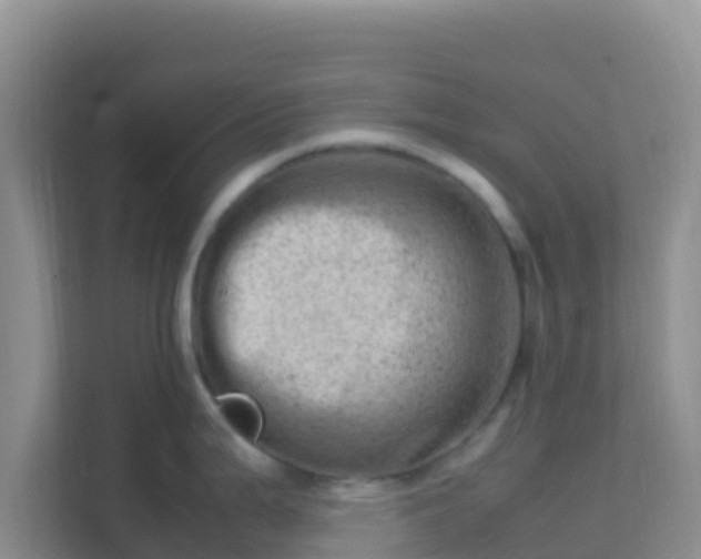 X0000111661199200907241145