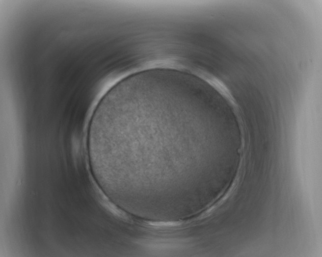 X0000111661200200907241145