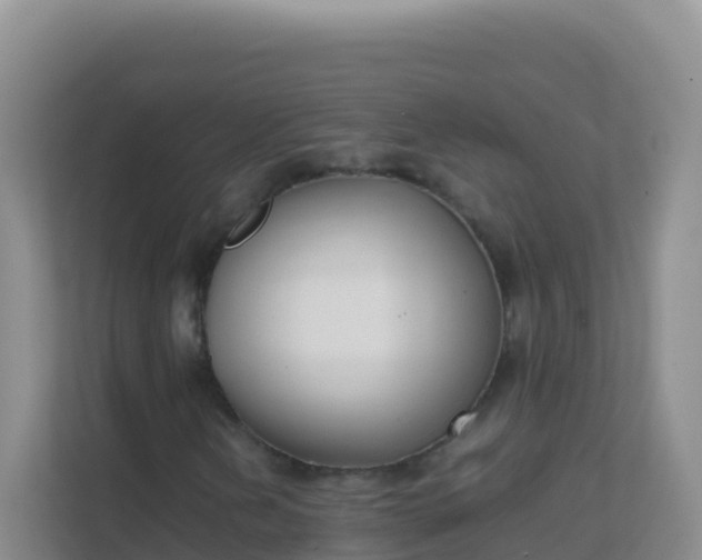 X0000111661202200907241144