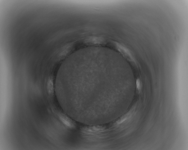 X0000111661203200907241144