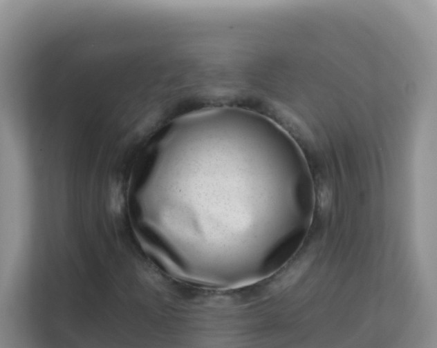 X0000111661204200907241144