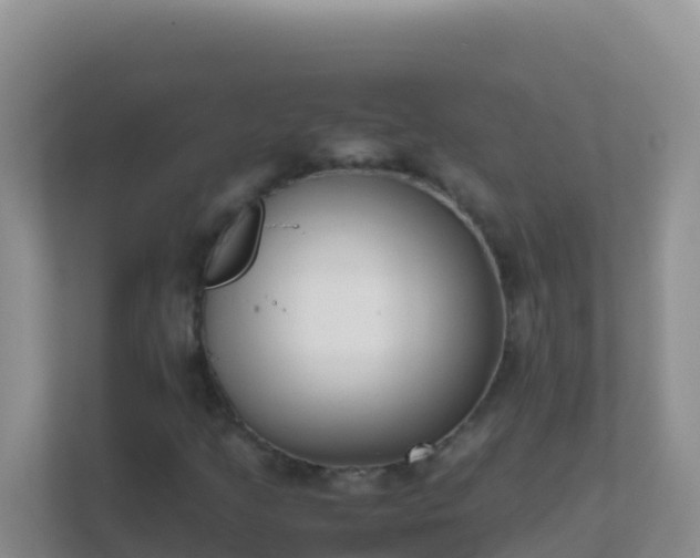 X0000111661205200907241145