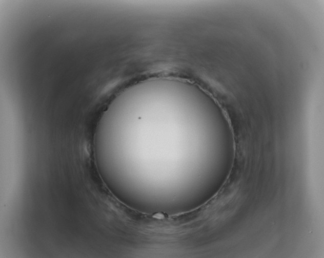 X0000111661206200907241145
