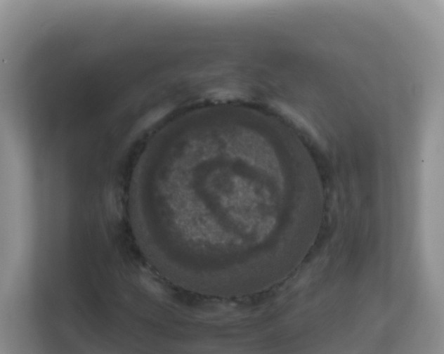 X0000111661207200907241145