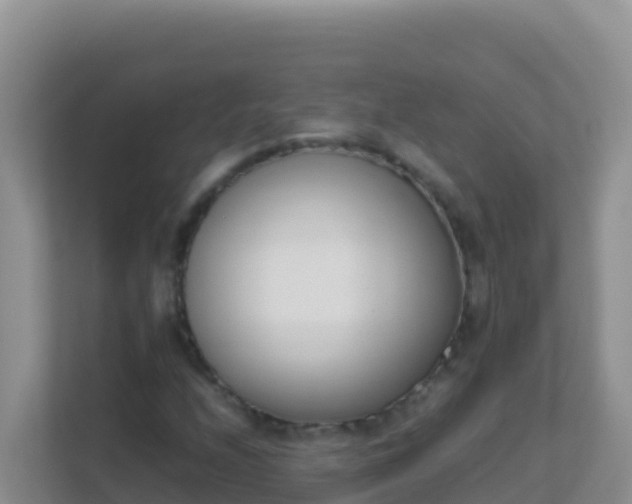 X0000111661208200907241145
