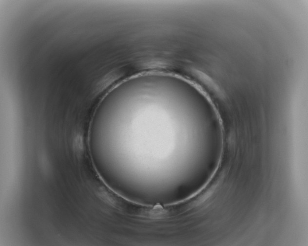 X0000111661209200907241145