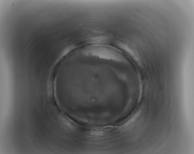 X0000111661211200907241145