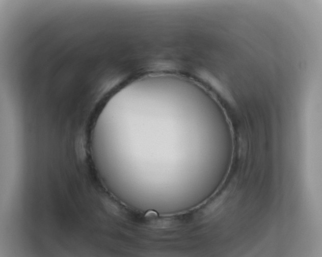 X0000111661213200907241145