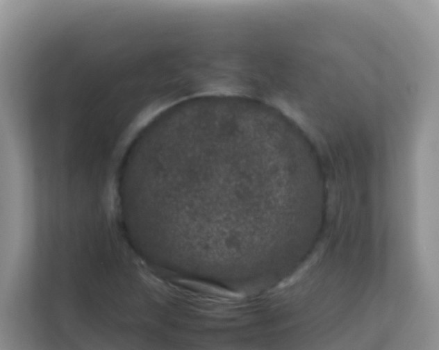 X0000111661215200907241145