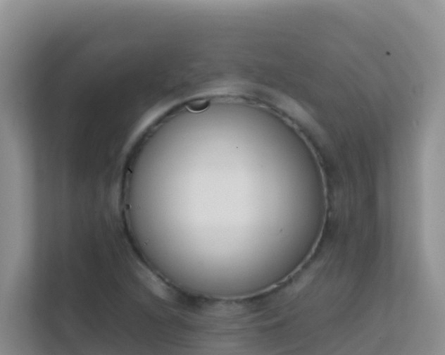 X0000111661216200907241145